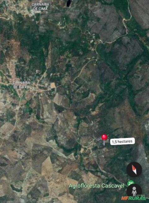 Área para Extração de Esmeraldas Imagem Área para Extração de Esmeraldas