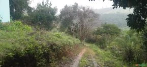 Fazenda de 100 Tarefas em Ubaira Bahia.