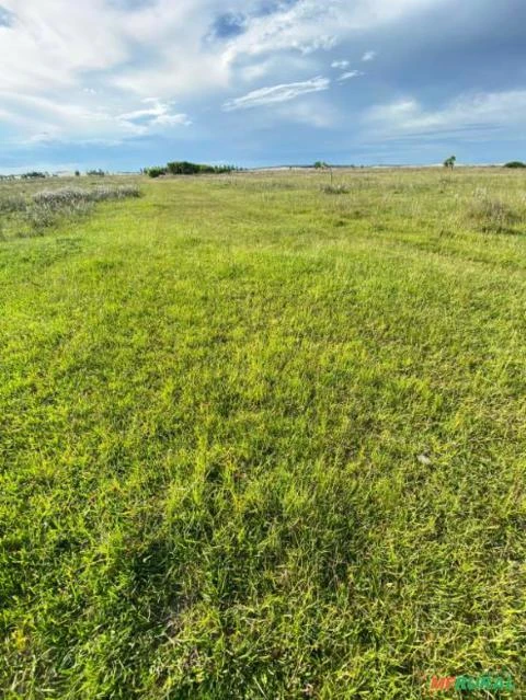 Fazenda 3100 hectares  -  Porto Alegre