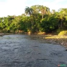 Fazenda 464ha pastagens, preço e qualidade