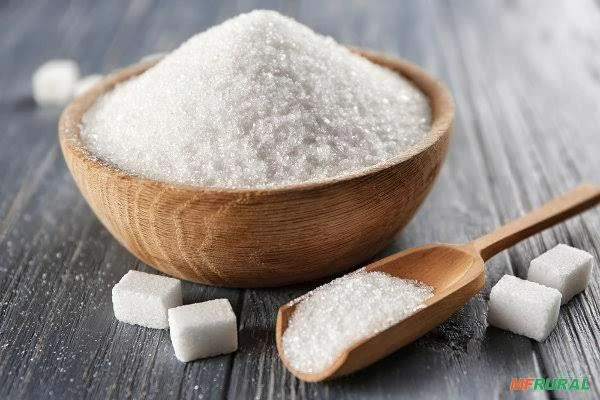 Açúcar IC 45 e VHP para exportação direto de usina.