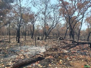 Fazenda 280 hectares em Uruçui - PI