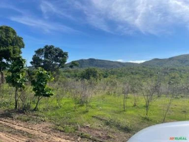 Fazenda Pecuária TO 597 alqueires ( 2.890 hectares )