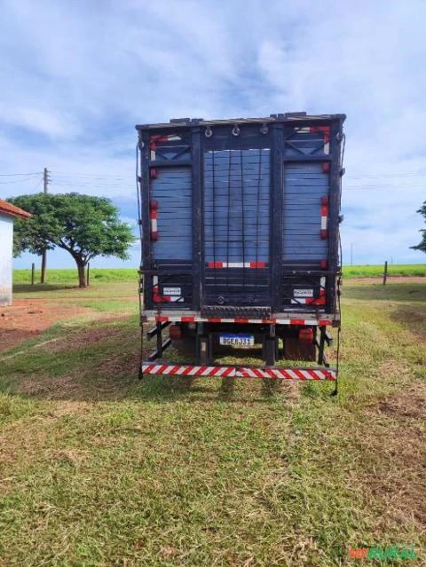 CAMINHAO F4000 2002 COM CARROCERIA BOIADEIRA ANO 2020