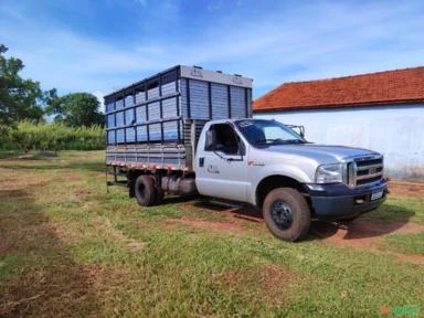 CAMINHAO F4000 2002 COM CARROCERIA BOIADEIRA ANO 2020