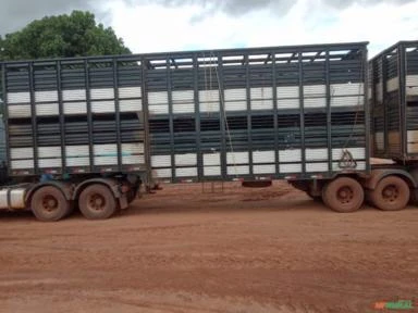 CAMINHÃO METEOR 6x4 E CARRETAS RODOBOI