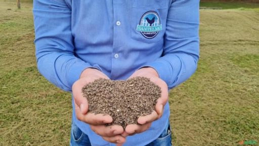 Adubo Orgânico de Galinha Poedeira *Desidratado* Imagem Adubo Orgânico de Galinha Poedeira *Desidratado*