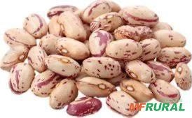 Compro Feijão Rajado em Toneladas Imagem Compro Feijão Rajado em Toneladas