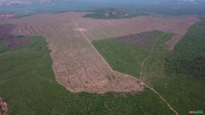 Fazenda para soja com 1721 ha em  Palmeira do Piaui - PI