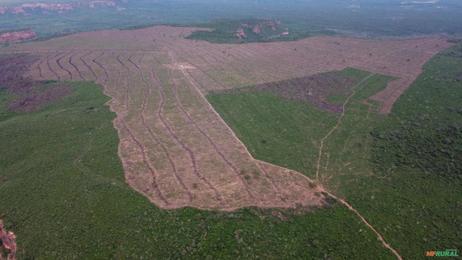 Fazenda para soja com 1721 ha em  Palmeira do Piaui - PI