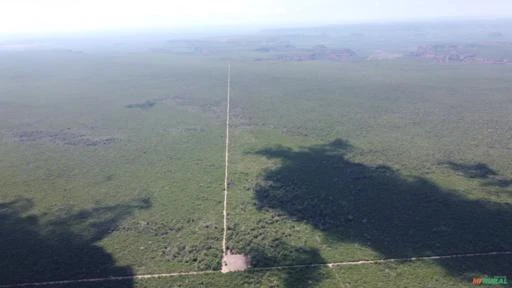 Fazenda para soja com 1721 ha em  Palmeira do Piaui - PI