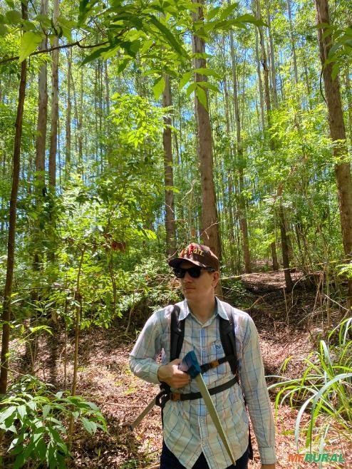 Inventário Florestal Imagem Inventário Florestal