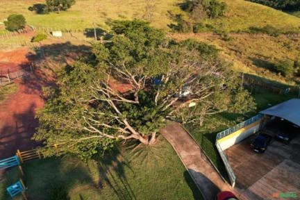 Fazenda no Sul de Minas 48 alqueires(Paulista)