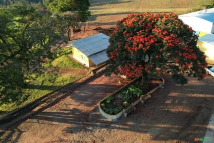 Fazenda no Sul de Minas 48 alqueires(Paulista)