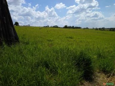 SÍTIO EM SALTO DE PIRAPORA COM 66 MIL MTS QUADRADOS