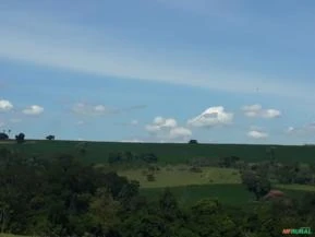 Área rural de 57 hectares em Carlópolis PR