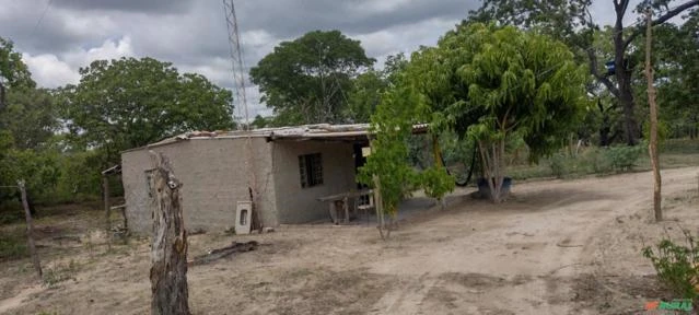 Fazenda de 3 mil Ha - em Januária - MG