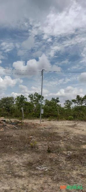 Fazenda de 3 mil Ha - em Januária - MG