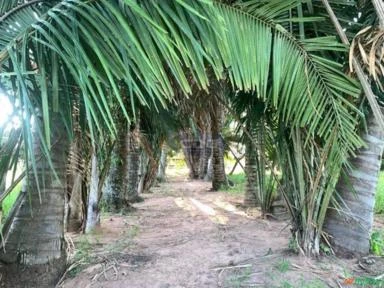 Fazenda  com Pista de Pouso em Marília SP