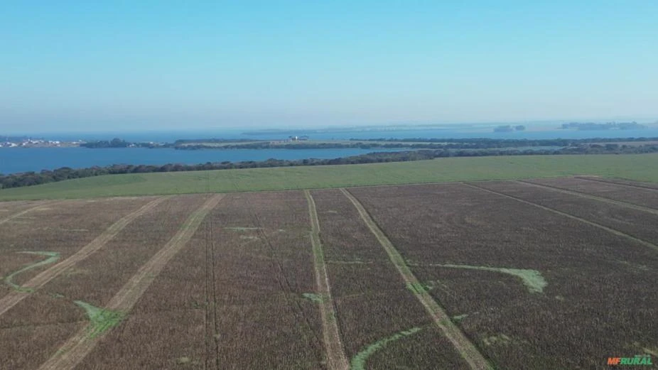 Fazenda com 312 alqueires paulista à venda em Sertaneja - PR