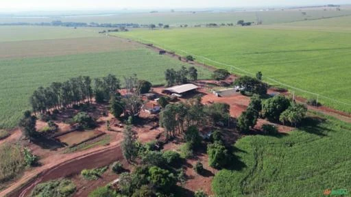 Fazenda com 312 alqueires paulista à venda em Sertaneja - PR