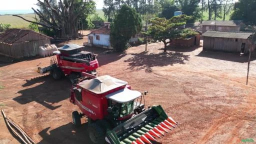 Fazenda com 312 alqueires paulista à venda em Sertaneja - PR