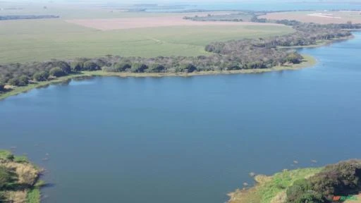 Fazenda com 312 alqueires paulista à venda em Sertaneja - PR