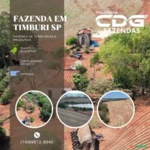 Fazenda com 73 alqueires paulista à venda em Timburi - SP