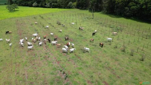 LINDO SITIO PARA VENDA EM OURINHOS SP