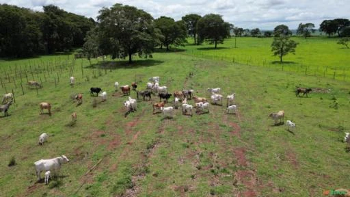 LINDO SITIO PARA VENDA EM OURINHOS SP