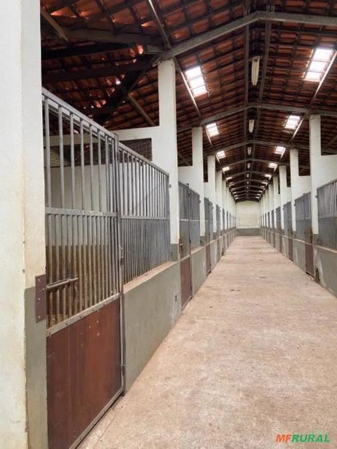 Haras Para Venda Em Caçapava/SP