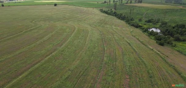 Fazenda Para Venda Em Bernardino de Campos/SP