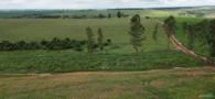 Fazenda Para Venda Em Bernardino de Campos/SP