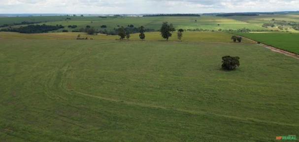 Fazenda Para Venda Em Bernardino de Campos/SP