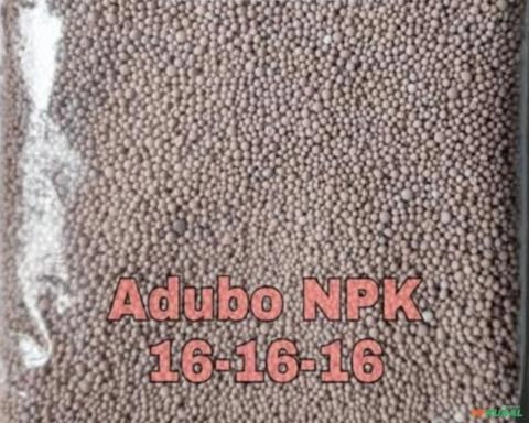 Fertilizante NPK 16.16.16 Granulado Imagem Fertilizante NPK 16.16.16 Granulado