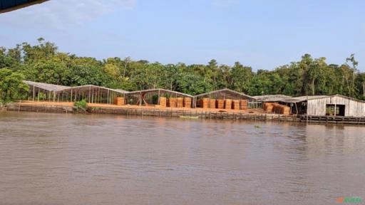 Cabo de vassoura Imagem Cabo de vassoura