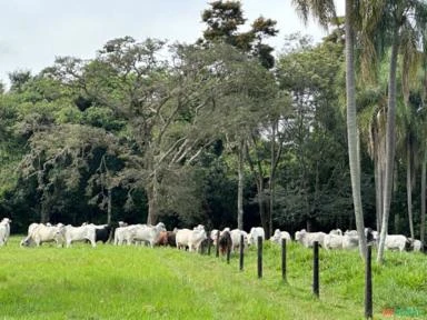 Área Rural Araçoiaba da Serra