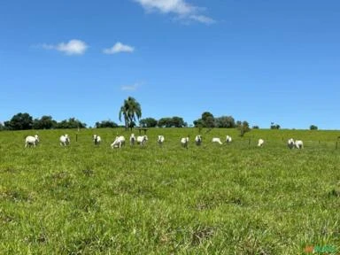 Área Rural Araçoiaba da Serra