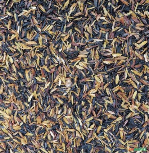 Imagem Casca de Arroz Carbonizada 1 Litro Imagem Casca de Arroz Carbonizada 1 Litro