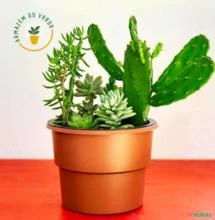 Vaso Autoirrigável Plantas Escrita Painho - Coleção I Love Nordeste Vermelho -  COLOR: Verde escuro