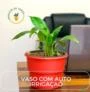 Vaso Autoirrigável Plantas Escrita Mainha - Coleção I Love Nordeste Vermelho -  COLOR: Vermelho