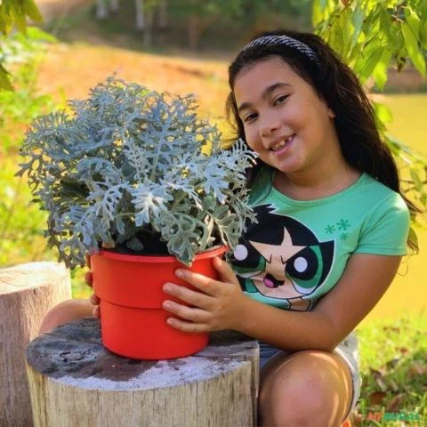 Vaso Autoirrigável Plantas Escrita Diguénada - Coleção I Love Nordeste Vermelho