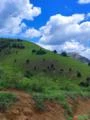 Vendo fazenda no Sul da Bahia, 160 Hectares