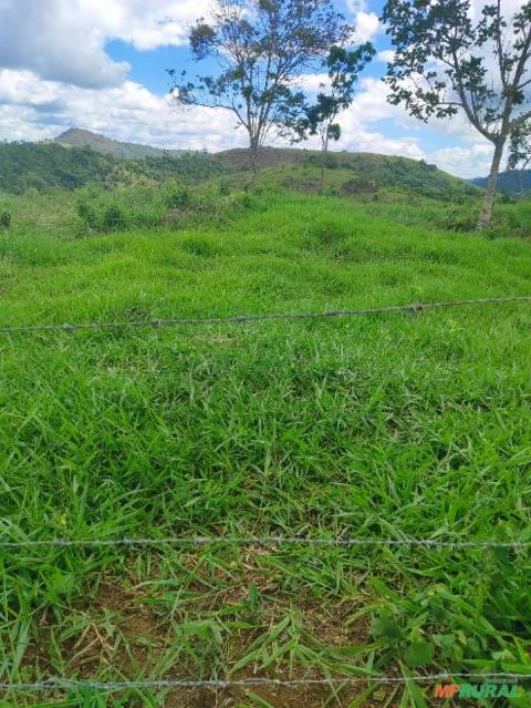 Vendo fazenda no Sul da Bahia, 160 Hectares