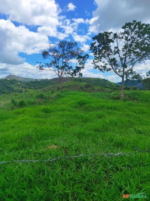 Vendo fazenda no Sul da Bahia, 160 Hectares