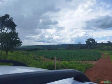 Fazenda 114 Hc Para Soja e Gado - Planaltina - DF