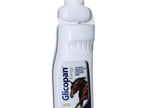 Vetnil Glicopan® Energy 1L - Suplemento