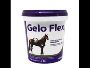 Vetnil Gelo Flex® - Relaxante muscular -  Peso: Balde 1,2Kg