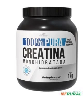 Suplemento 100% Creatina Pura Monohidratada Bothupharma - Peso: 500 G Imagem Suplemento 100% Creatina Pura Monohidratada Bothupharma - Peso: 500 G