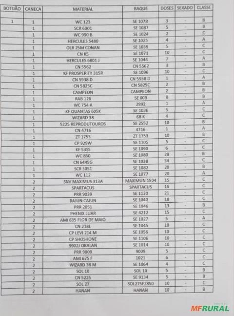 Imagem BOTIJÃO GENÉTICA SENEPOL DA GRAMA Imagem BOTIJÃO GENÉTICA SENEPOL DA GRAMA